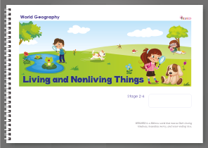 curriculum