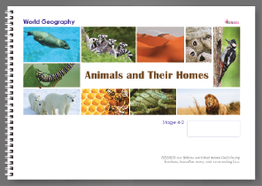 curriculum