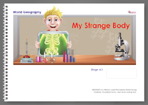 curriculum